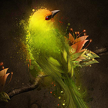 ddos压力测试网页端